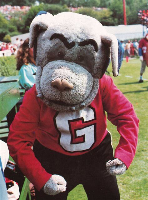 The Legacy Continues: How Uga's Offspring Continue the Tradition of Georgia's Mascot